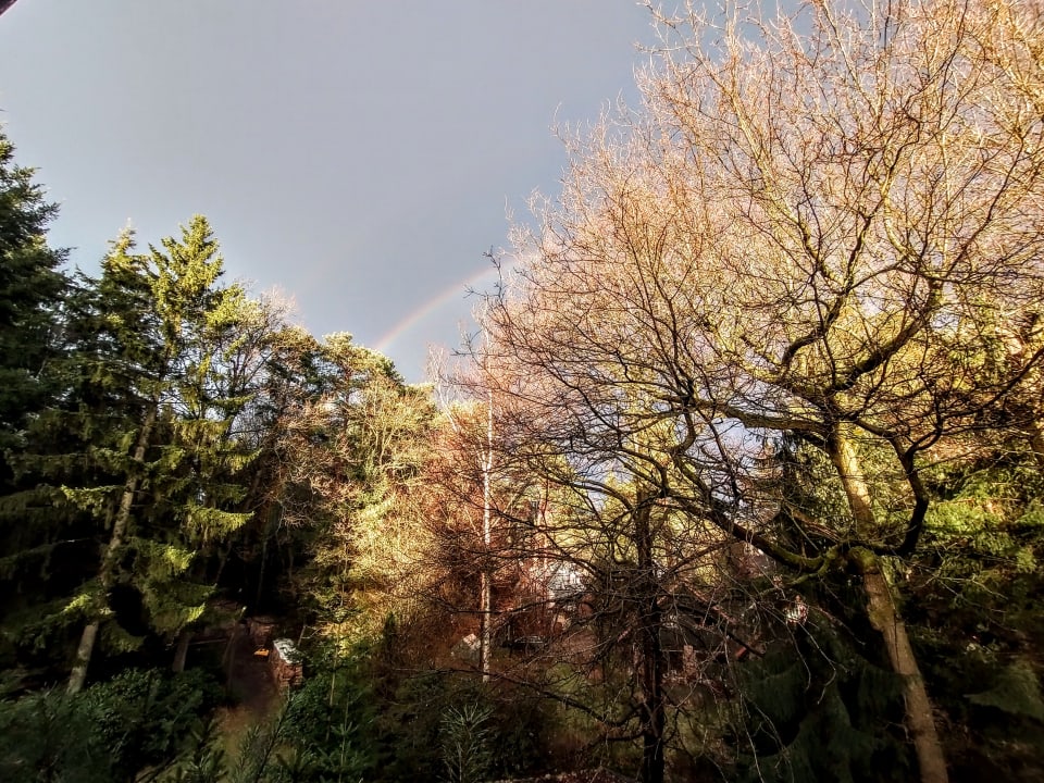 Ausblick Heidhöhe, Ferienwohnung