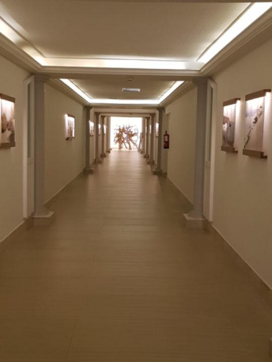 Gastro allsun App.-Hotel Barlovento