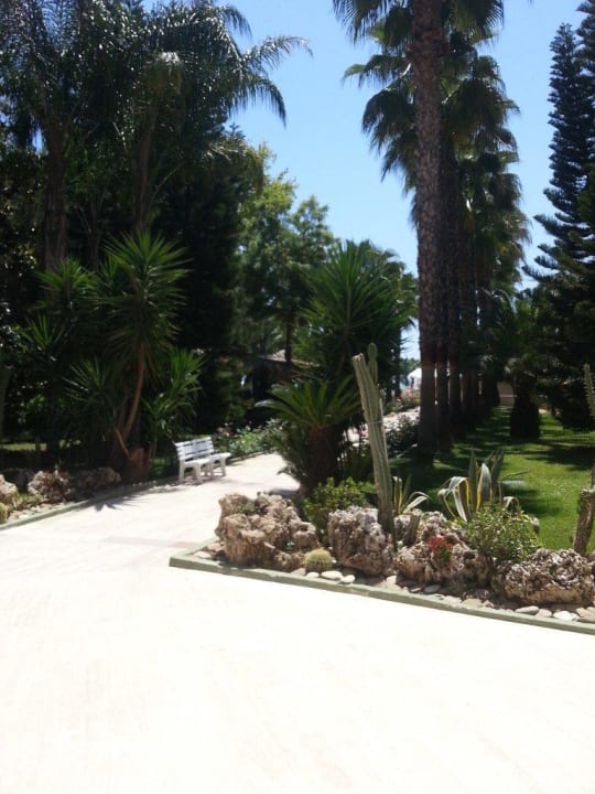 Дорожки Botanik Hotel & Resort