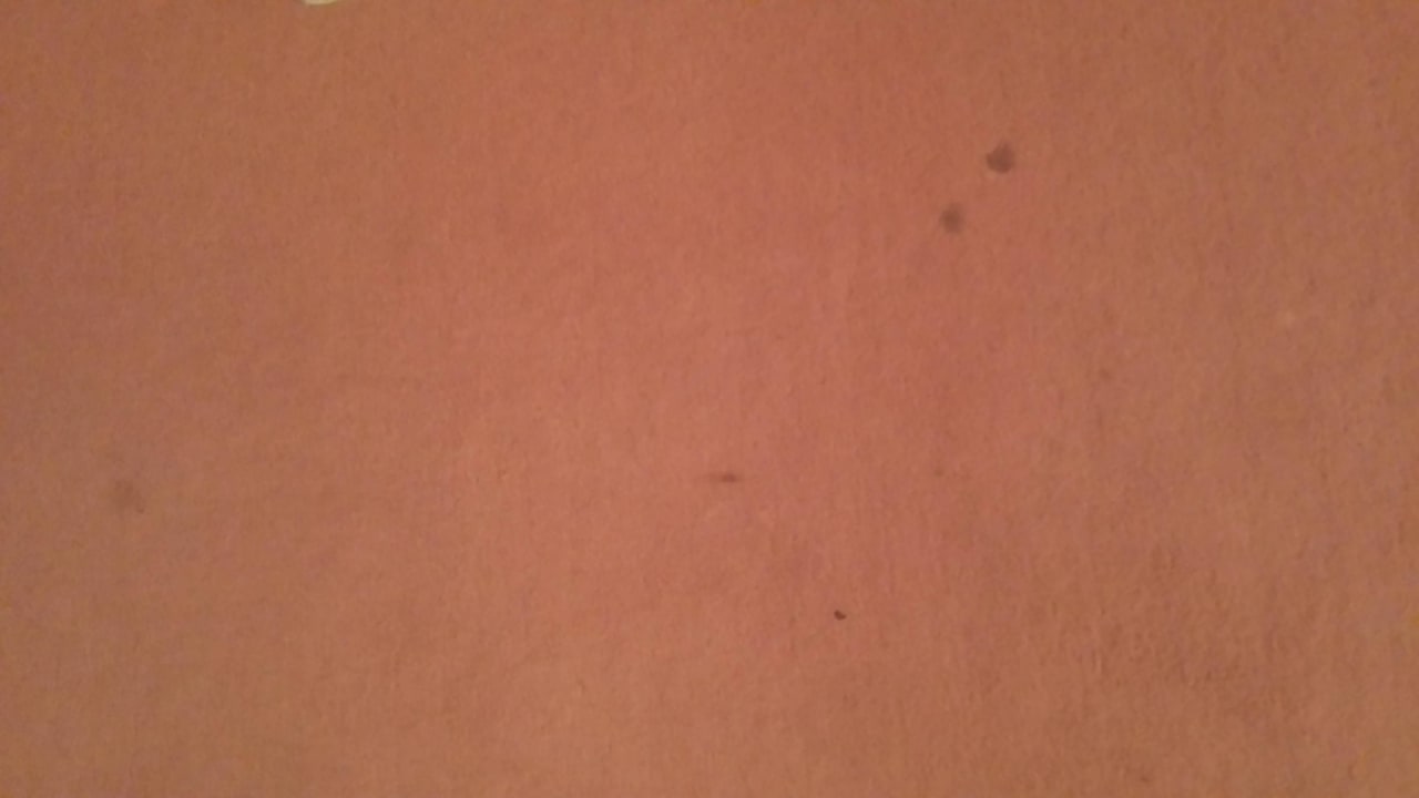 Boden 2T Hotel artgenossen