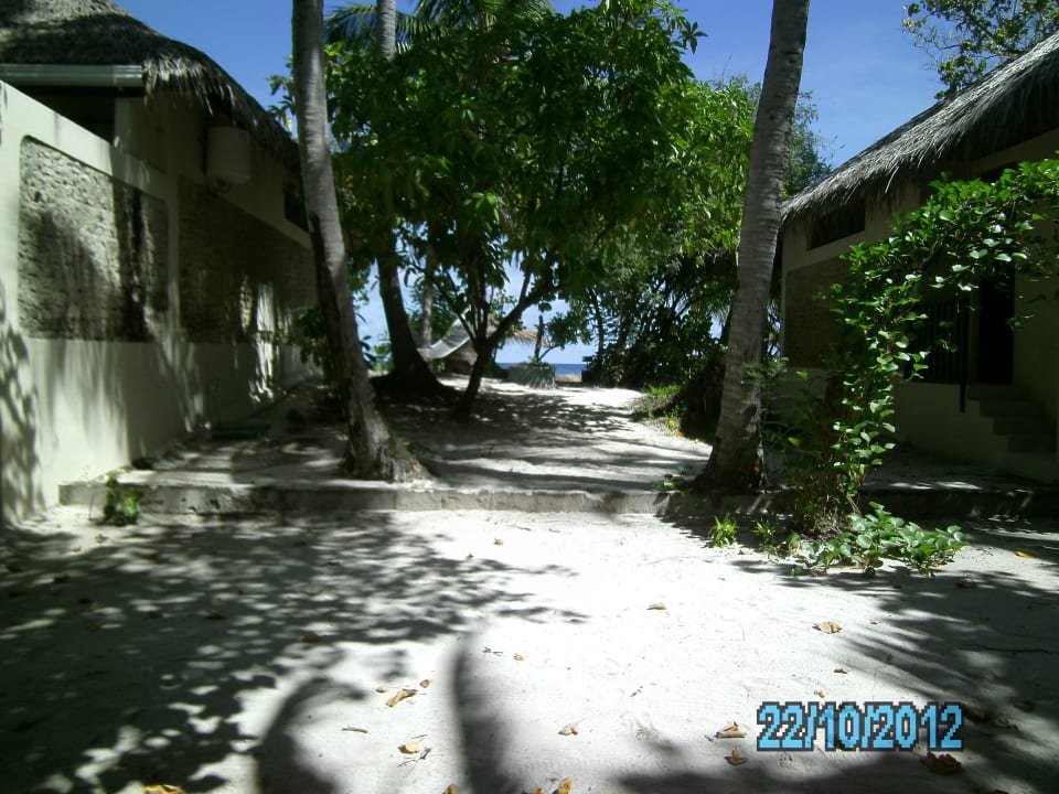 Blick vom Bungalow zum Meer Ellaidhoo Maldives by Cinnamon