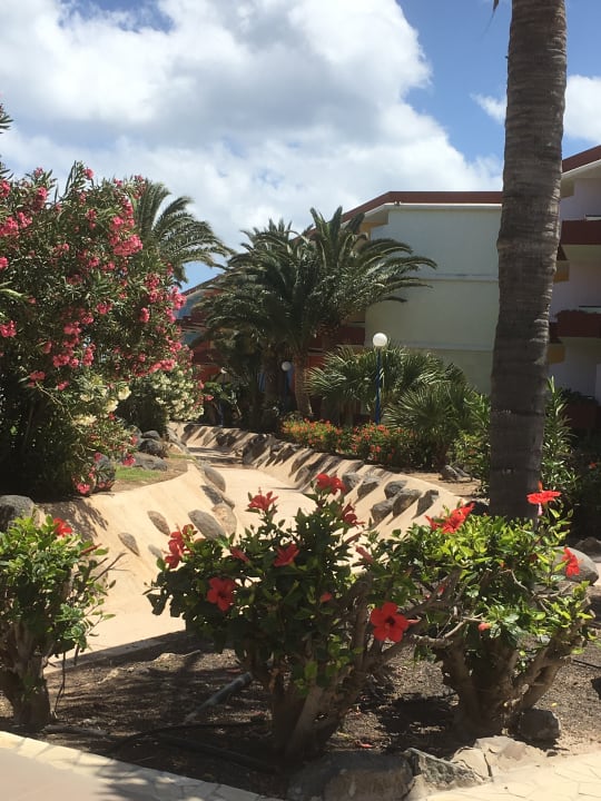 Gartenanlage SBH Fuerteventura Playa