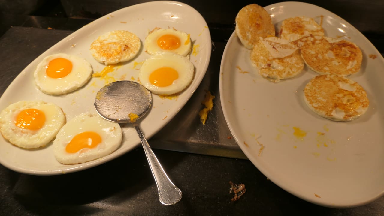 Gastro Hotel Riu Festival