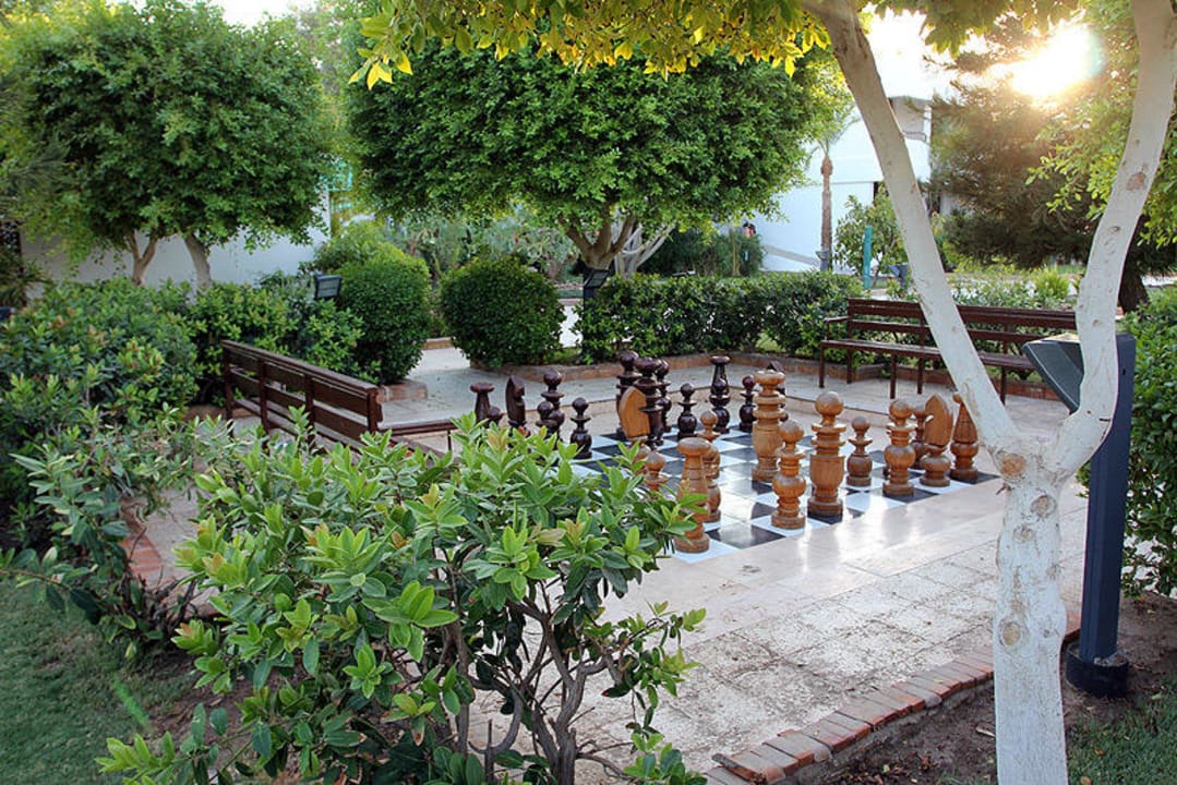 Hirnbeschäftigung Ghazala Beach