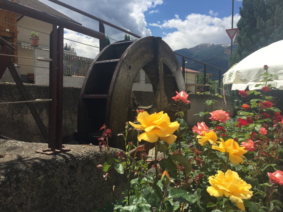 Gartenanlage Hotel Alte Mühle