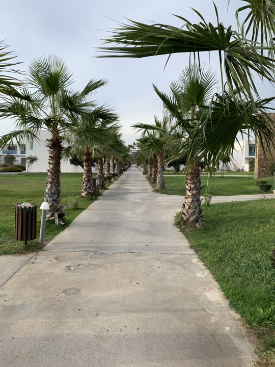 Gartenanlage Atlantica Plimmiri