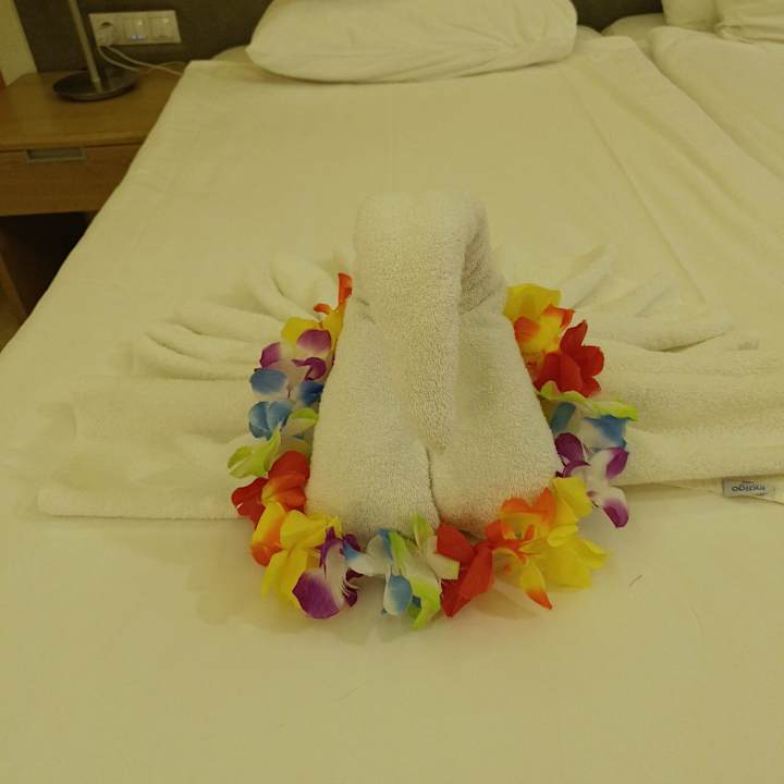 Zimmer ROBINSON NOBILIS