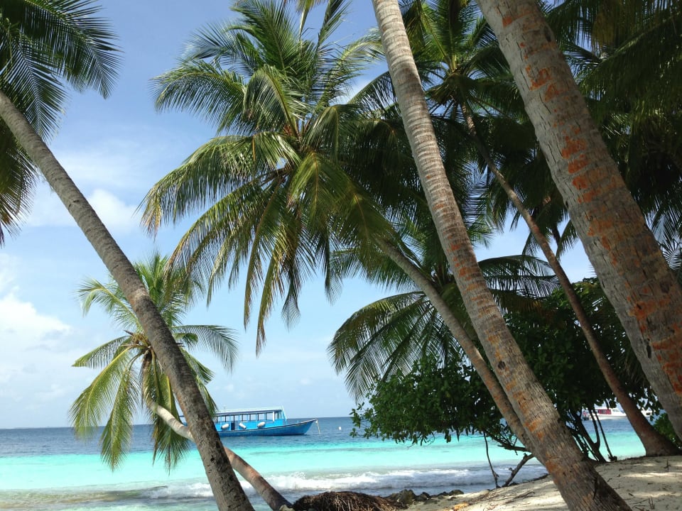 Strandaussicht Fihalhohi Maldives