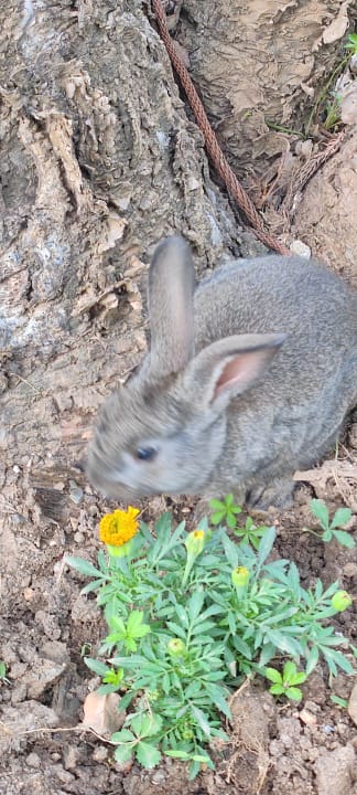 Sonstiges Labranda Alantur Resort