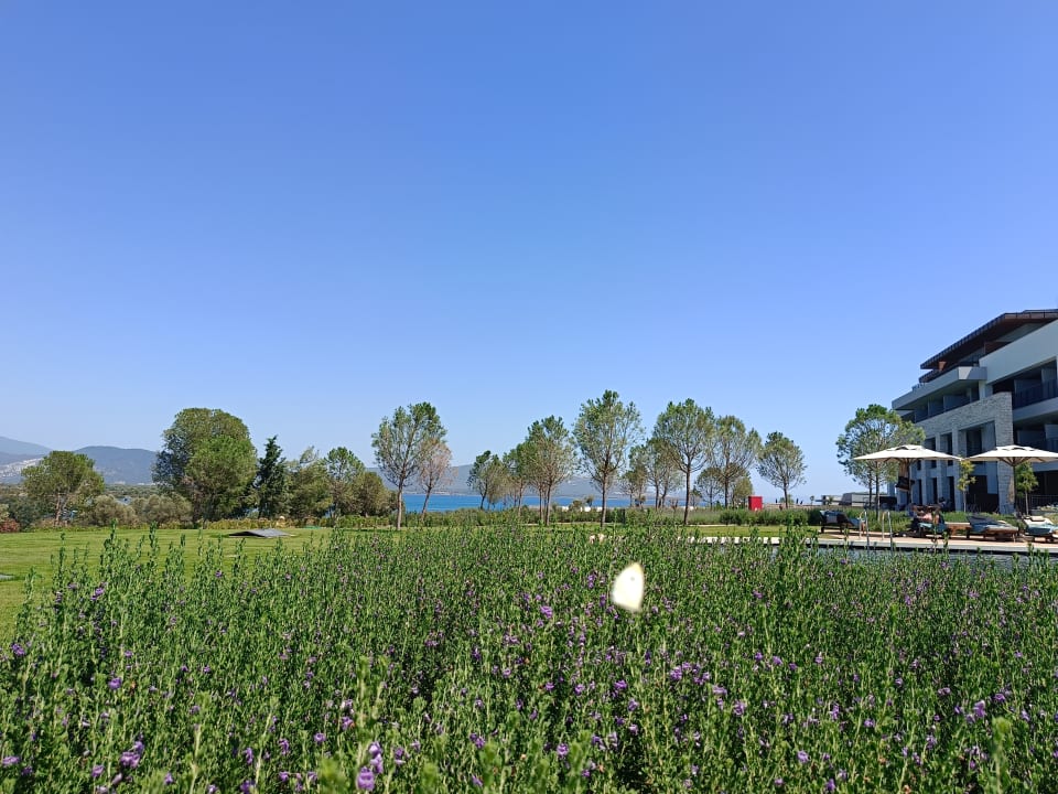 Gartenanlage Anda Barut Collection