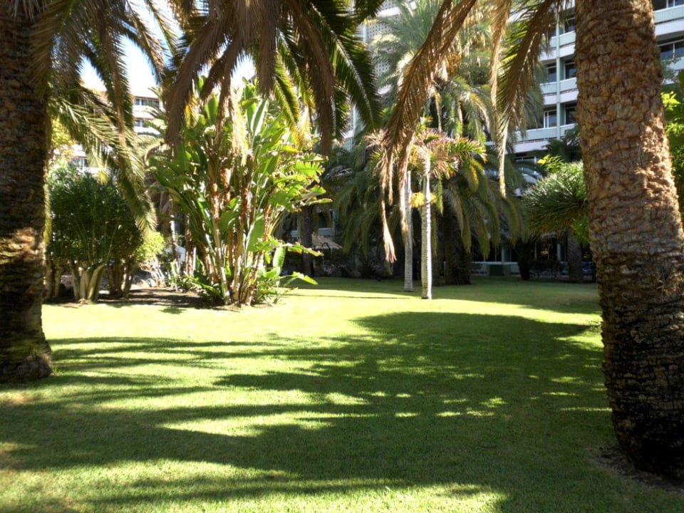Gepflegter Hotelgarten Abora Buenaventura by Lopesan Hotels