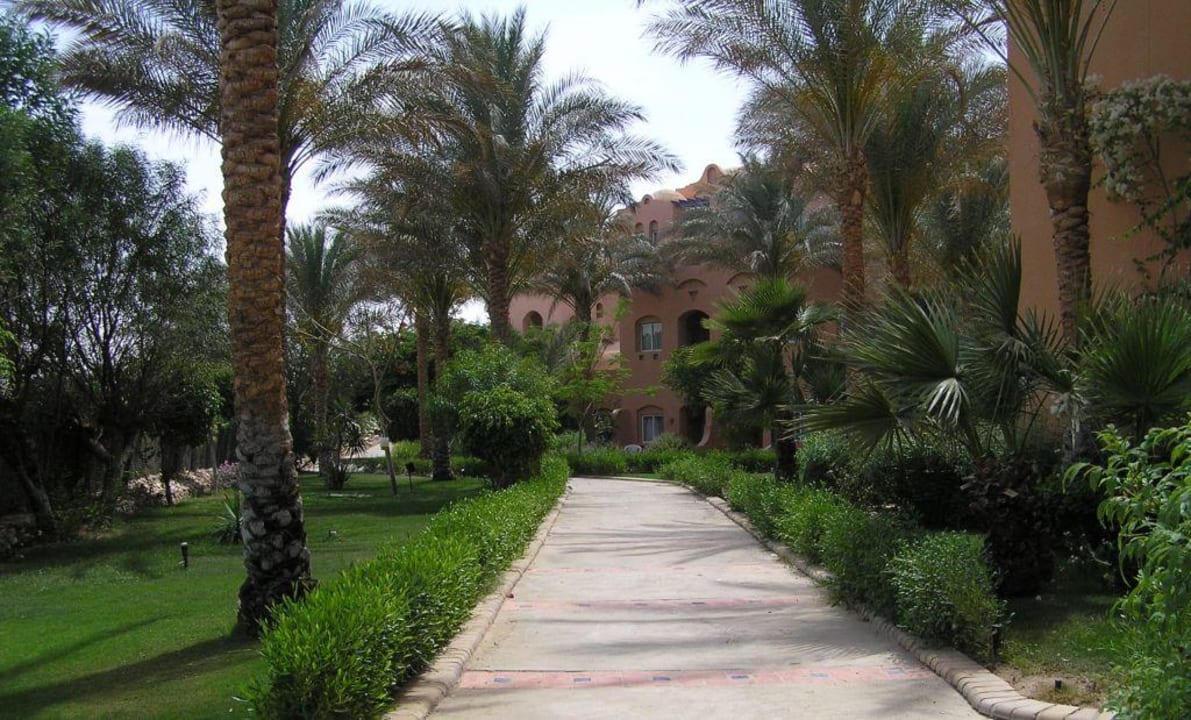 Gartenanlage Jaz Makadi Oasis Resort