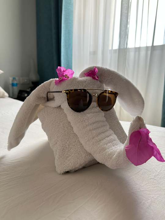 Zimmer Radisson Blu Resort, El Quseir