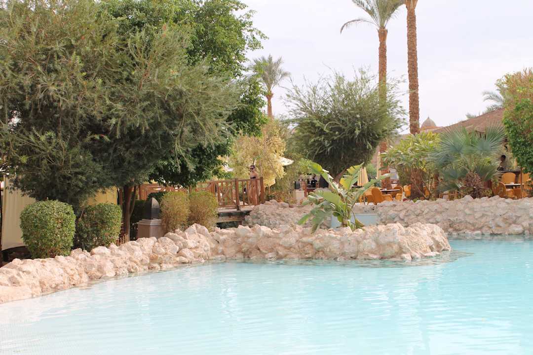 V areáli hotela Ghazala Gardens