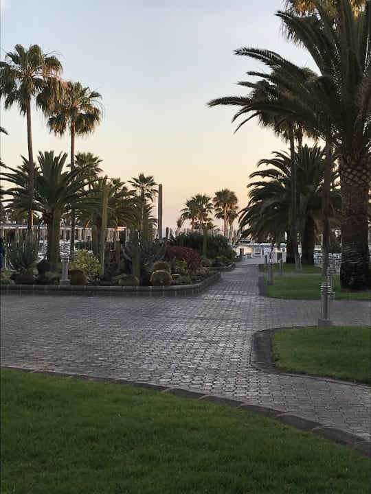 Gartenanlage Hotel Riu Gran Canaria