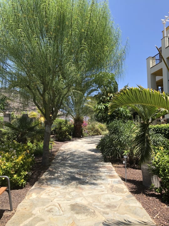 Gartenanlage Hotel Cordial Mogán Playa