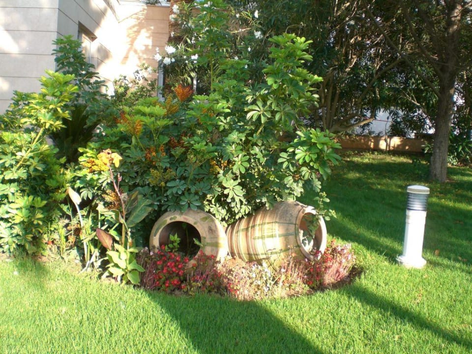 Garten Hipotels Flamenco