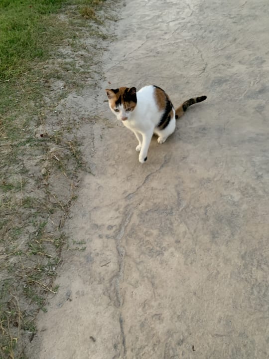 Sonstiges Caravia Beach Hotel