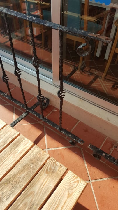 Vogelkot  Salamis Bay Conti Resort Hotel & Casino