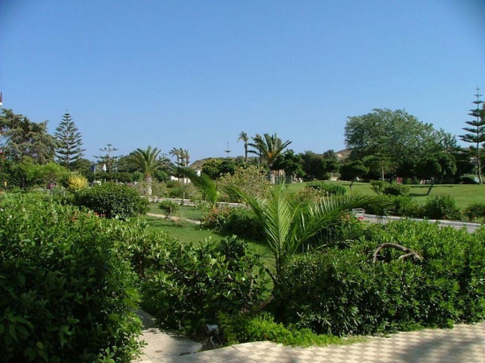 Garten TUI BLUE Oceanis Beach and Spa Resort