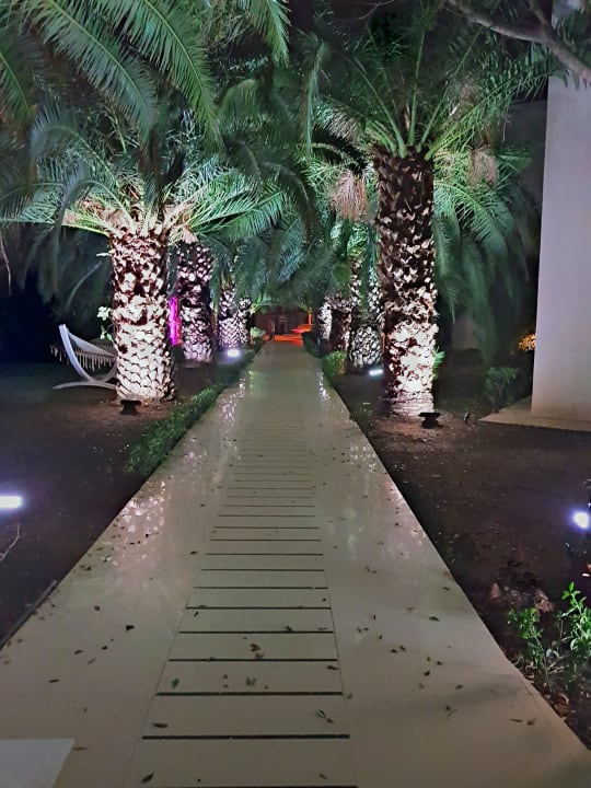 Gartenanlage Latanya Park Resort