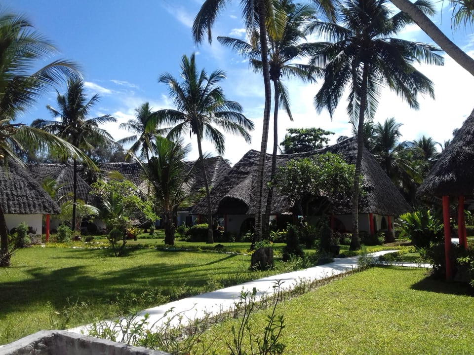 Gartenanlage Hotel Kiwengwa Beach Resort