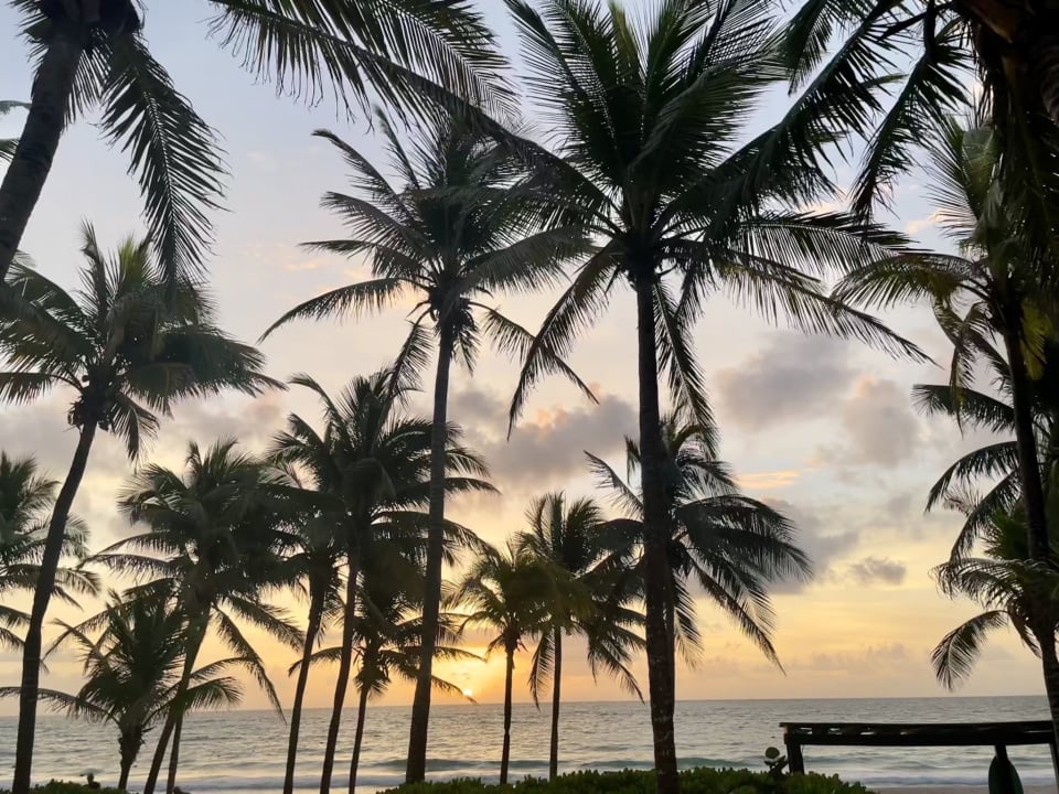 Ausblick Catalonia Royal Tulum Beach & Spa Resort - Adults only