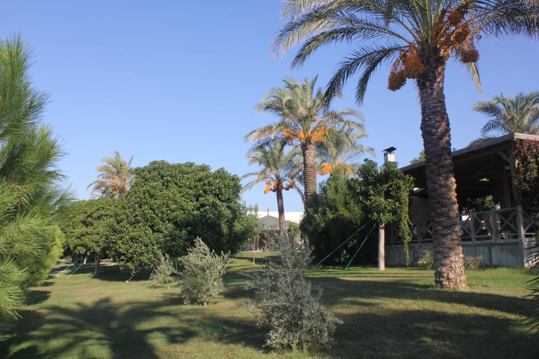 Toll Sunis Kumköy Beach Resort Hotel & Spa