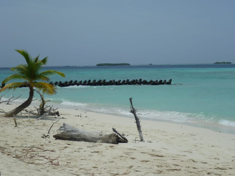 Beach Kuredu Island Resort & Spa