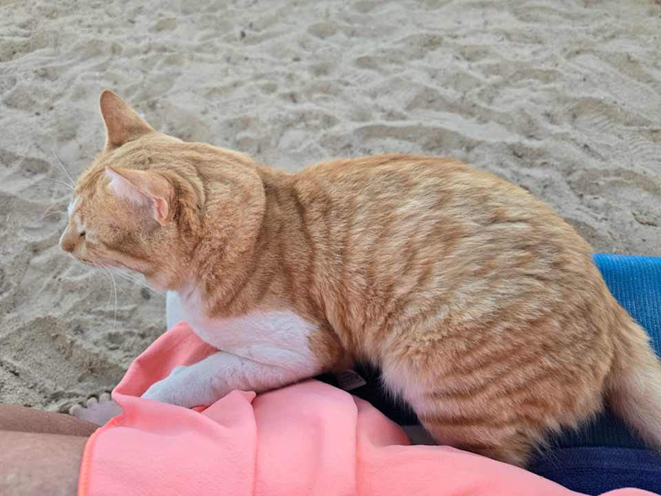 Strand Bella Vista Resort Hurghada