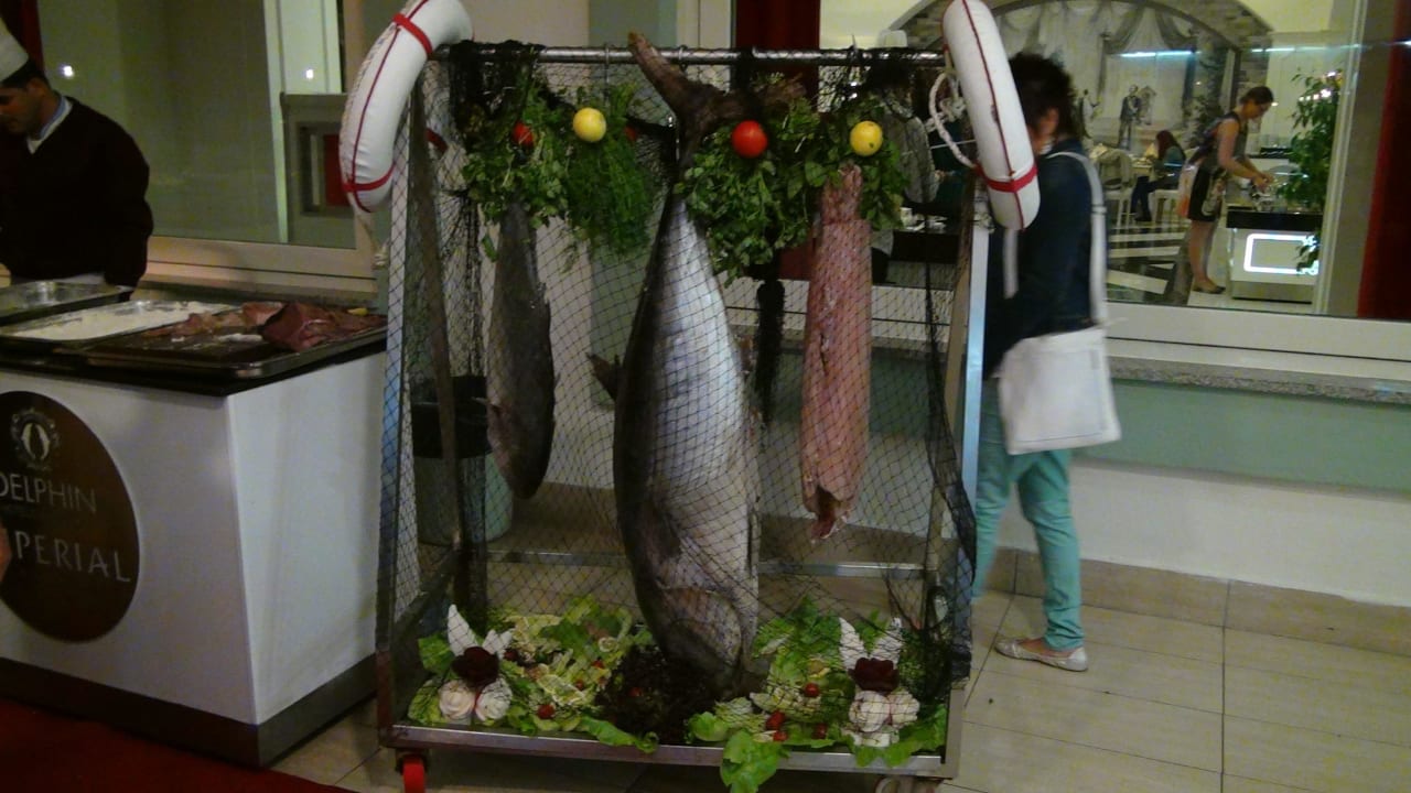 Fischtag Hotel Delphin Imperial