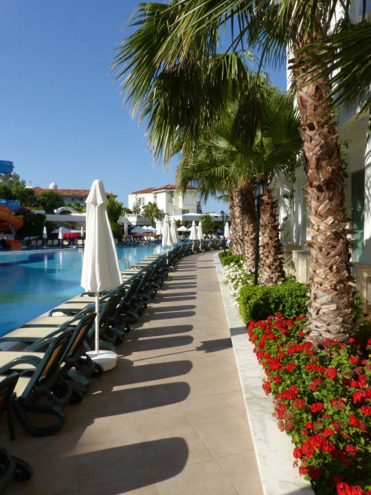 Der gepflegte Pool Alba Queen Hotel