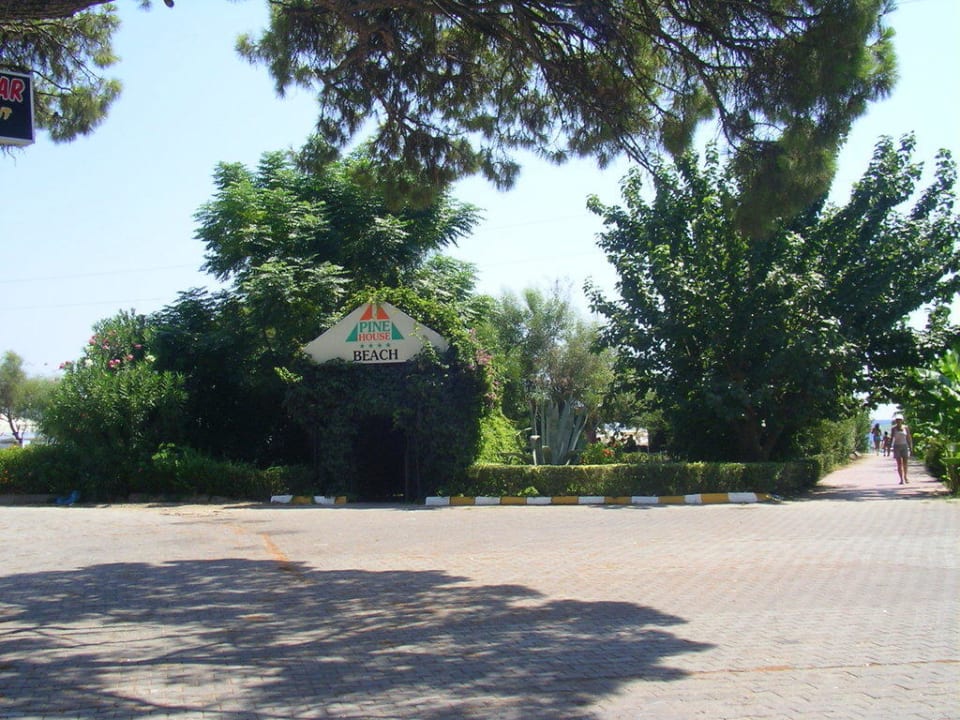 "Eingang" zur Strandbar Pine House by Werde Hotels