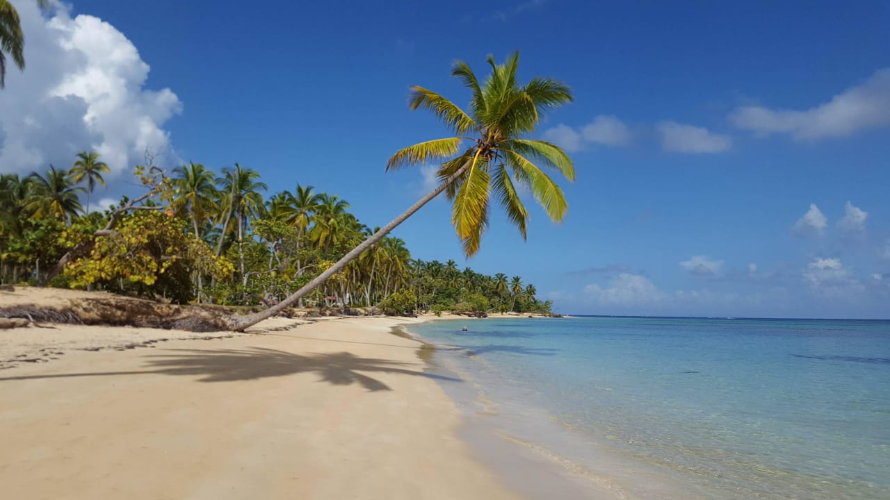 Palme Bahia Principe Grand El Portillo