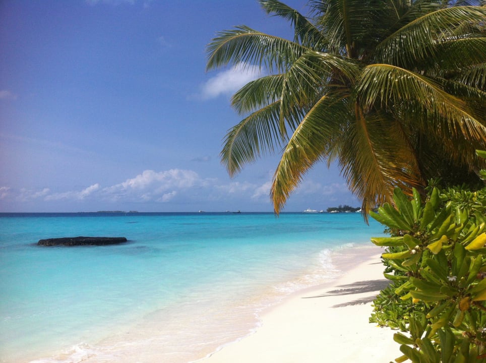 Lagunenseite Kuramathi Maldives
