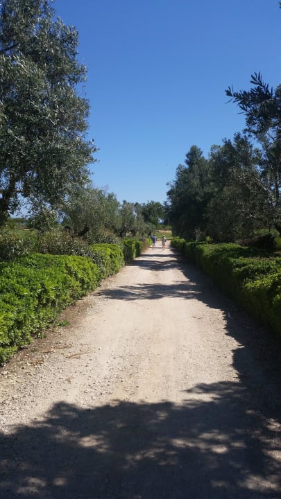 Weg zum Strand  ROBINSON QUINTA DA RIA