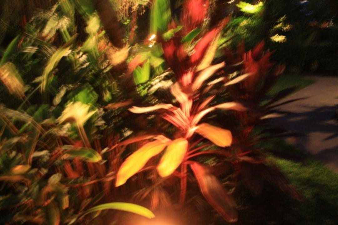 Bunt Anantara Bophut Koh Samui Resort