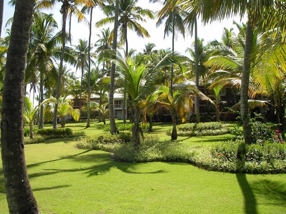 Weitblick ins Grüne Hotel Grand Palladium Palace Resort, Spa & Casino