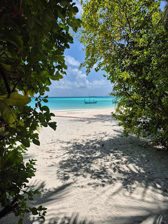 Ausblick Summer Island Maldives