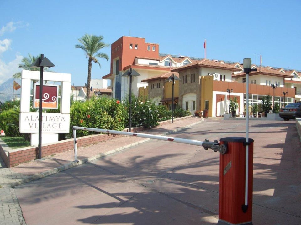 Alatimya Village Crystal Aura Aqua Collection