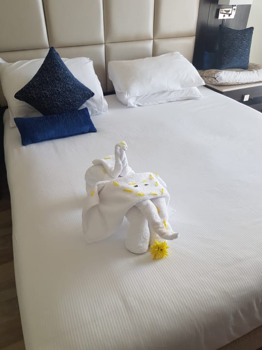 Zimmer Pickalbatros White Beach Resort - Hurghada
