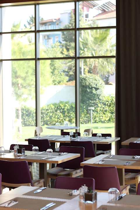 Gastro Acanthus Cennet Barut Collection