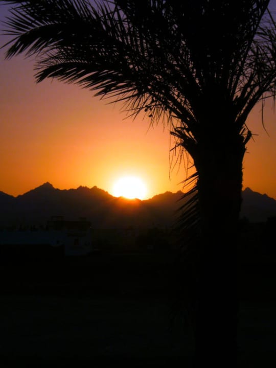 Sonnenuntergang Eagles Paradise Abu Soma