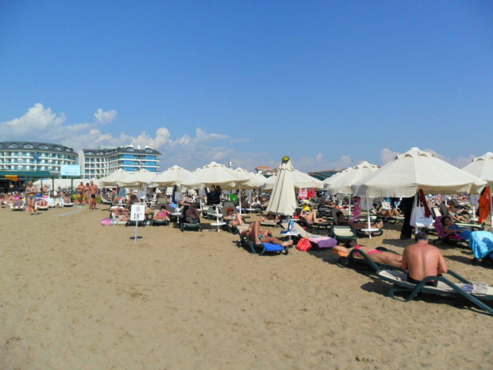 Liegen dicht an dicht Commodore Elite Suites & Spa - Adults only