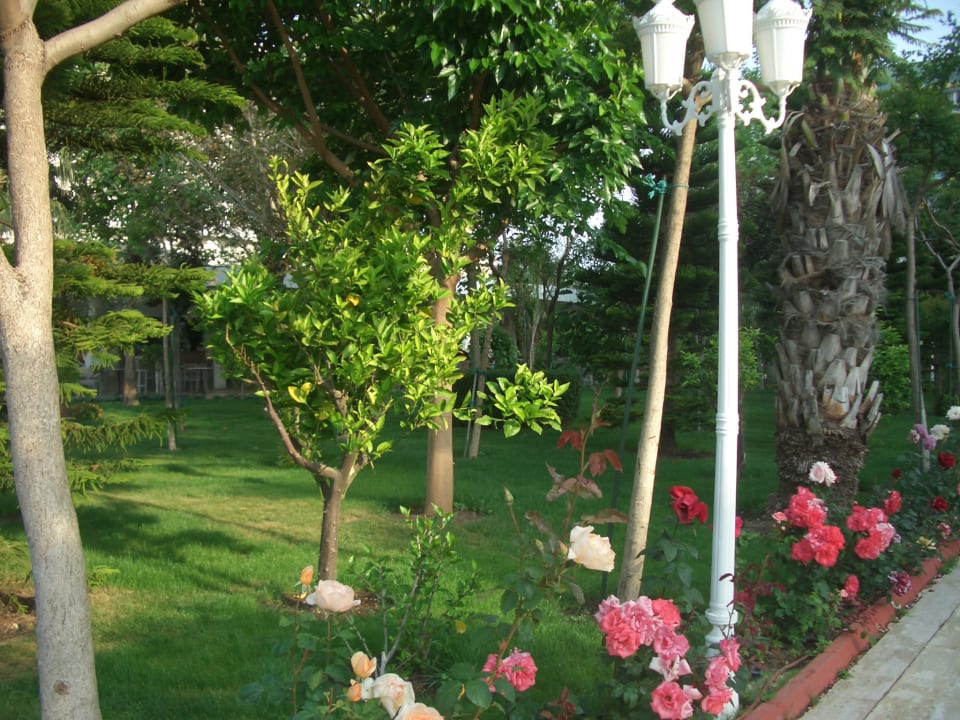 Gartenanlage Hotel Delphin Imperial