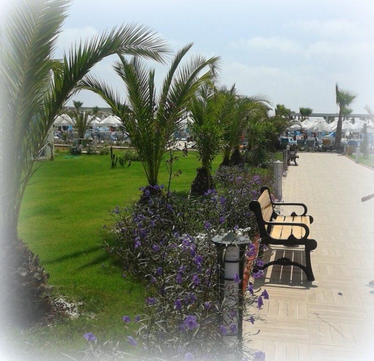 Weg zum Pool Sultan of Dreams Hotel & Spa