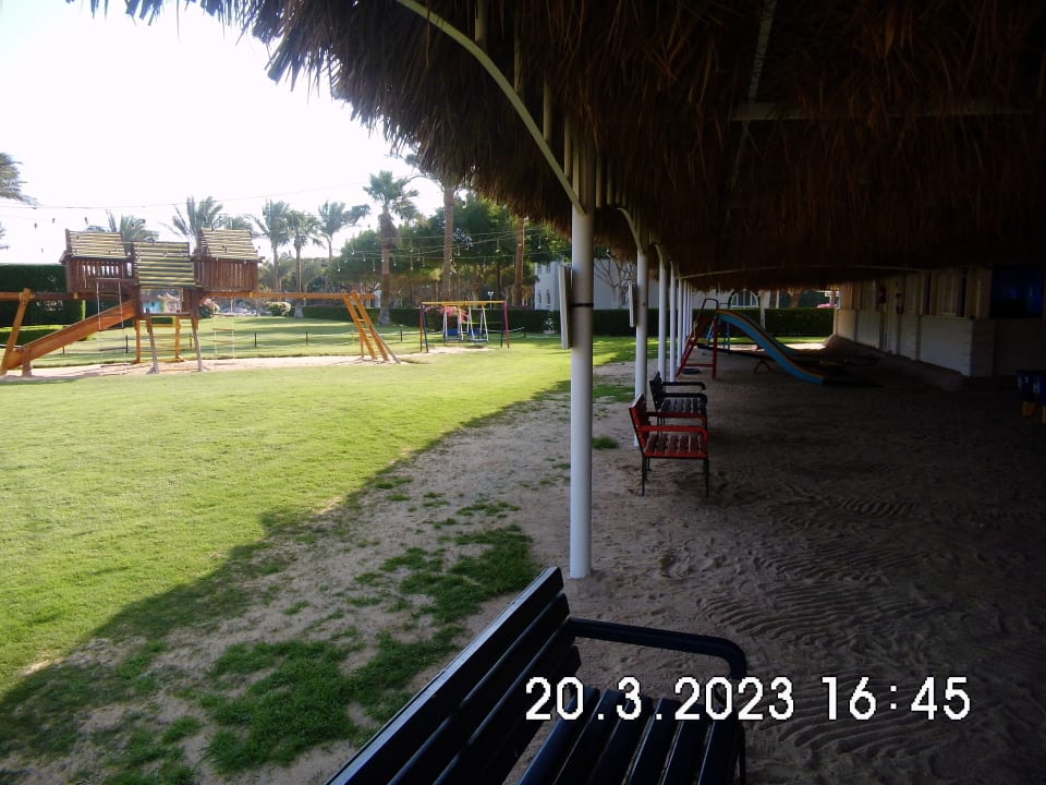 Sport & Freizeit Desert Rose