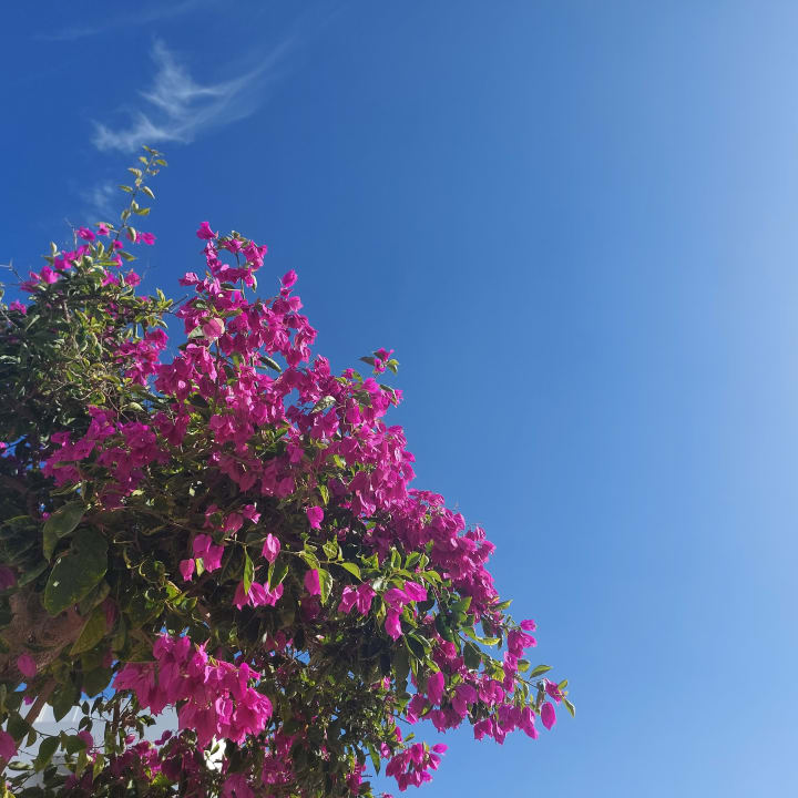 Ausblick Prinsotel Alba