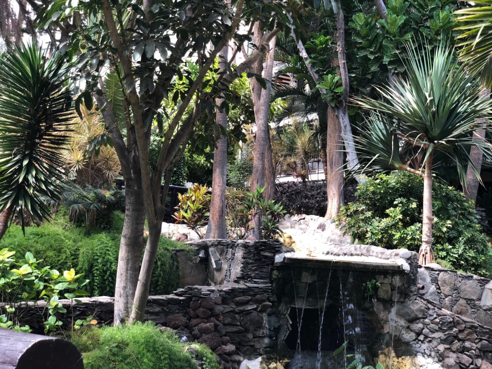 Gartenanlage Hotel Parque Tropical