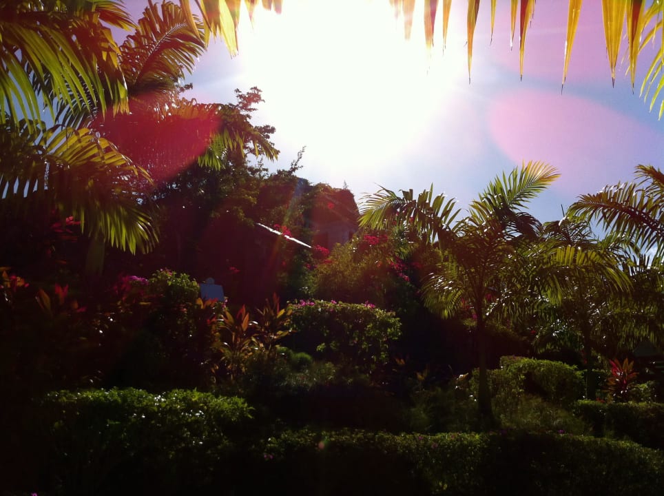 Resort Cocos Cocos Hotel Antigua - Adults Only